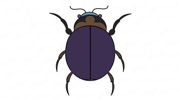 Жук картинка для детей