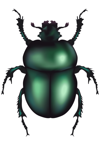 Жук скарабей зеленый