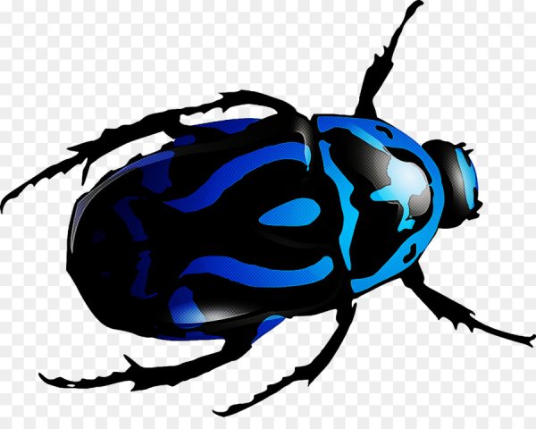 Жук для детей