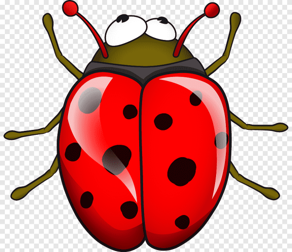 Жуки мультяшные