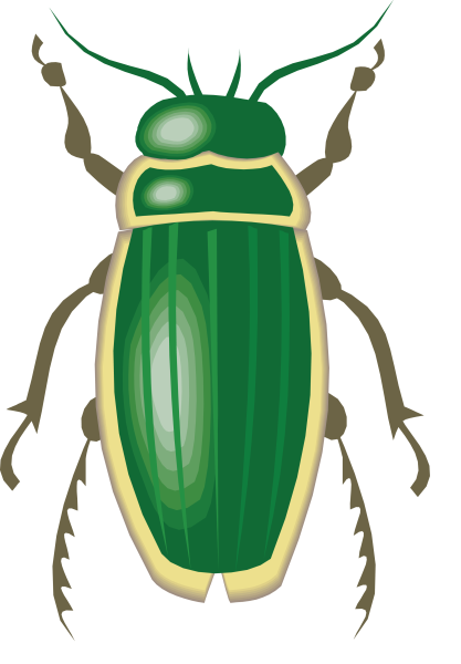 Жук для детей