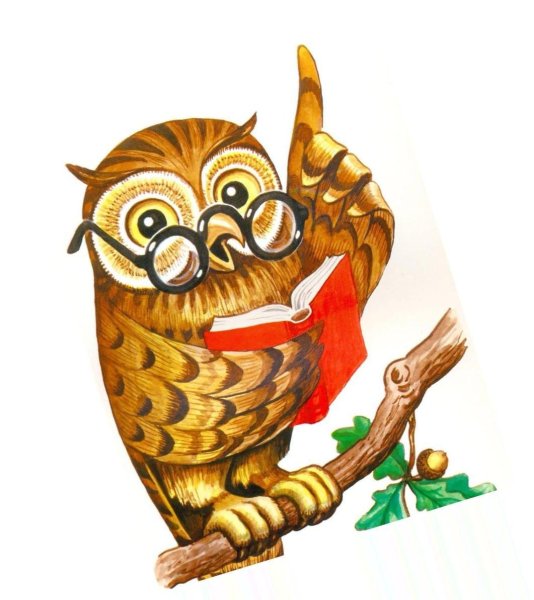 Сова с книгой