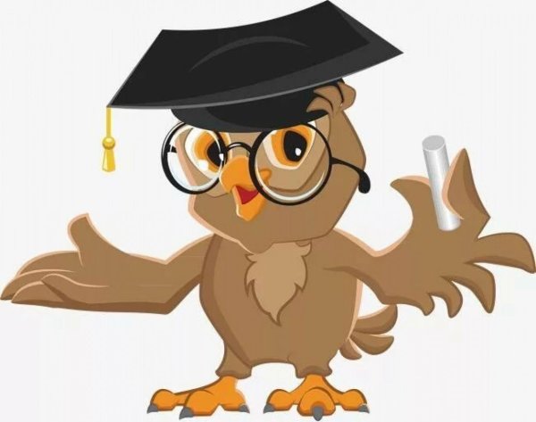 Ученая Сова