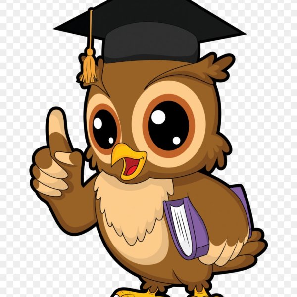 Wise Owl (мудрая Сова)