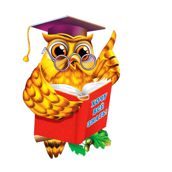 Умная Сова