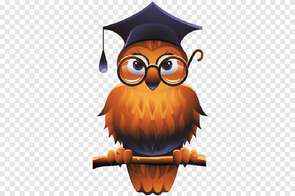 Мудрая Сова