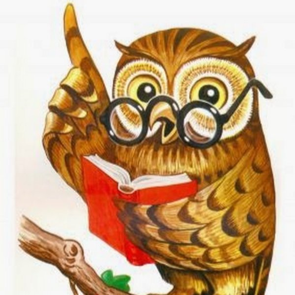 Советы мудрой Совы