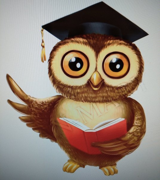 Мудрая Сова