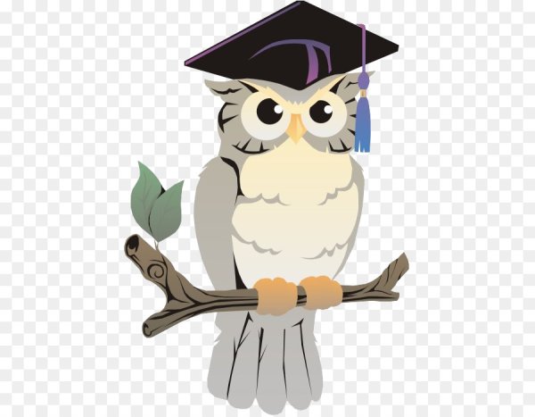 Мудрая Сова