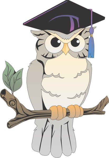 Умная Сова с указкой