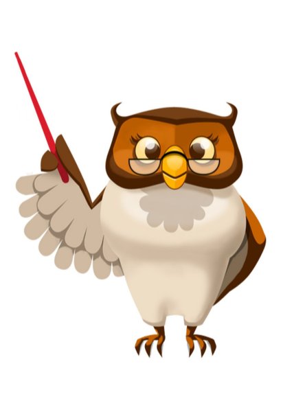 Очковая Неотропическая Сова