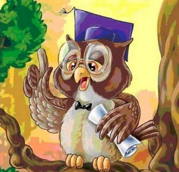 Сова учитель