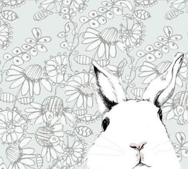 Кролик Минимализм