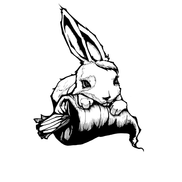 Кролик скетч