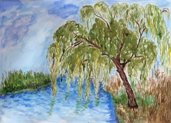 Рисование Ива