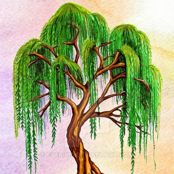 Дерево цветными карандашами