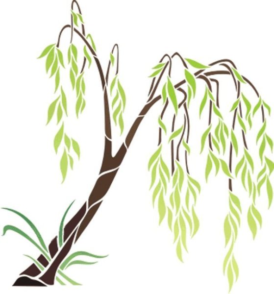 Плакучая Ива вектор