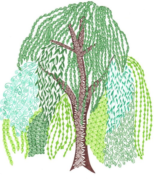 Рисование Ива