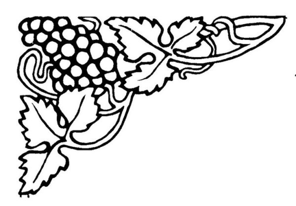 Виноградная лоза узор