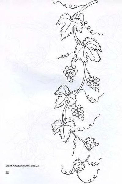 Виноградная лоза рисунок