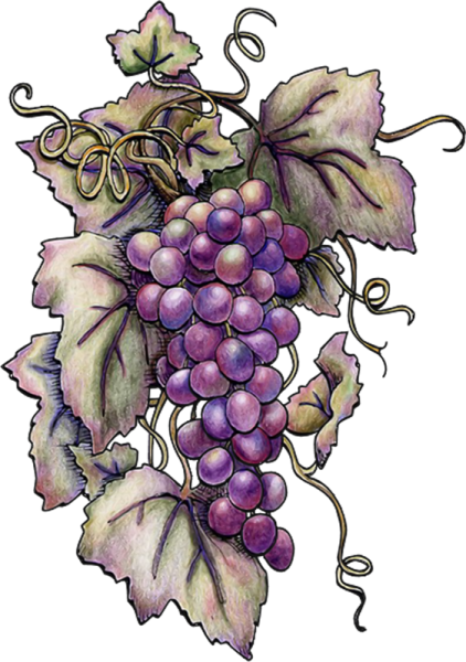 Виноград стилизация