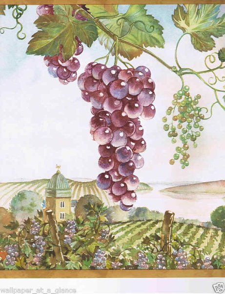 Виноградная лоза Ливитт