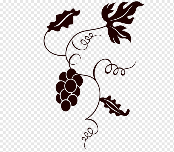 Виноградная лоза стилизация вектор