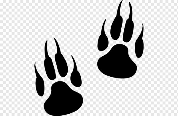 Отпечаток следа волка