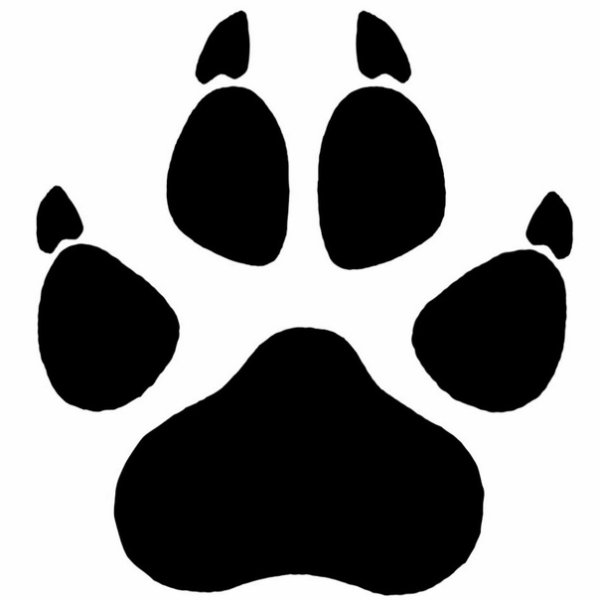 Отпечаток лапы лисы