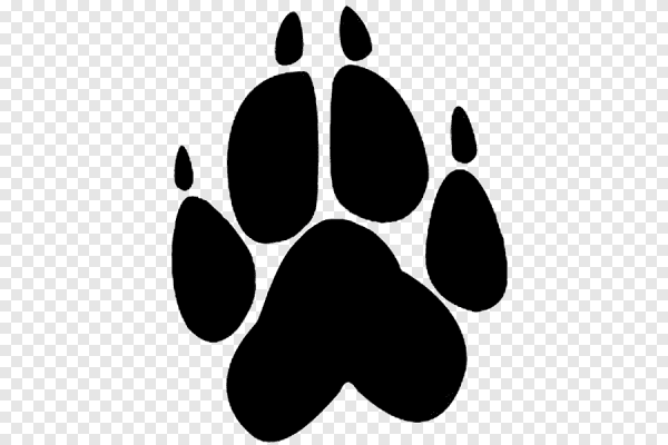 Отпечаток волчьей лапы