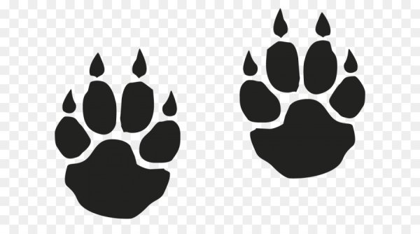 Отпечаток лапы Льва