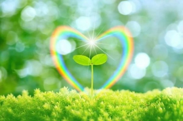 Энергия счастья и радости