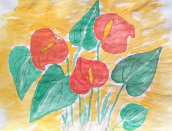 Антуриум ботаника