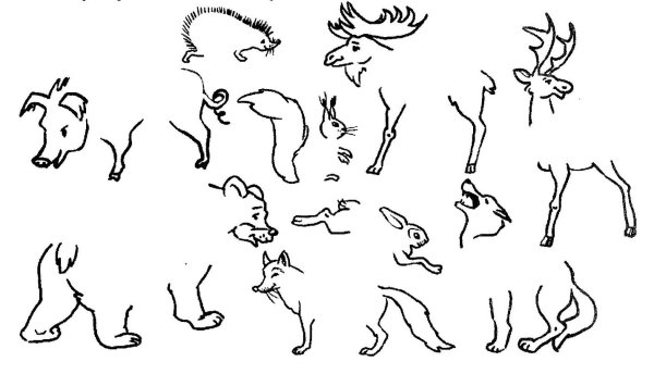 Дикие животные задания для детей