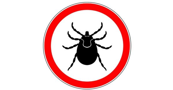 Табличка осторожно клещи