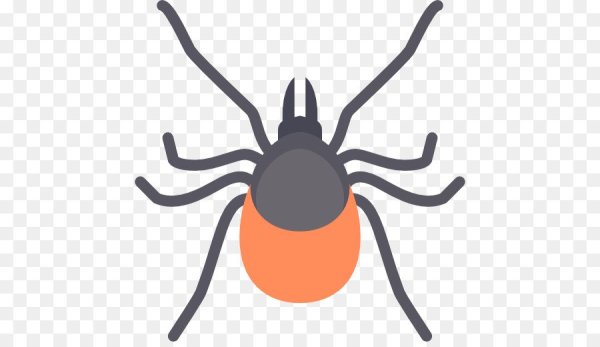 Клещ вектор