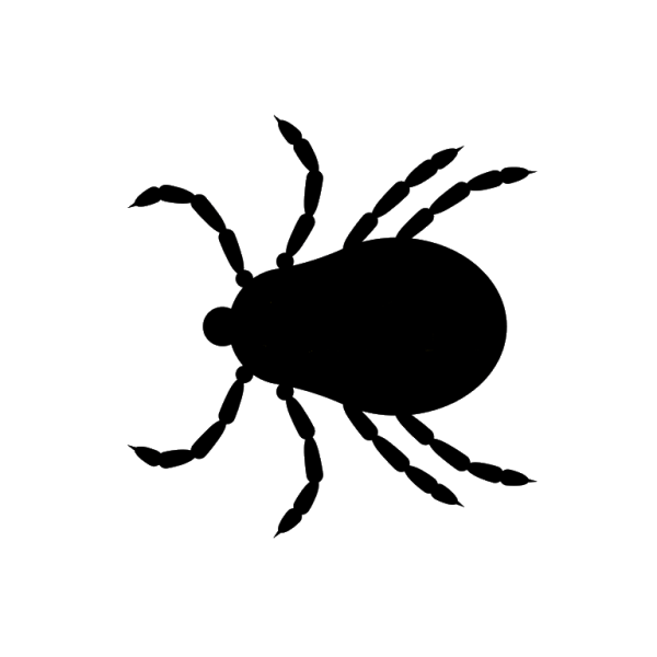 Клещ вектор