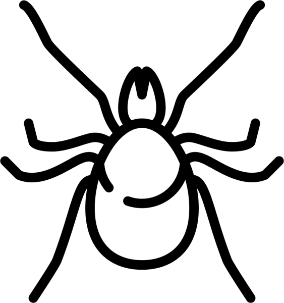 Клещ пиктограмма