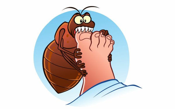 Клещ мультяшный