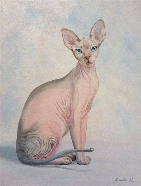 Сиамская кошка сфинкс и Египетская