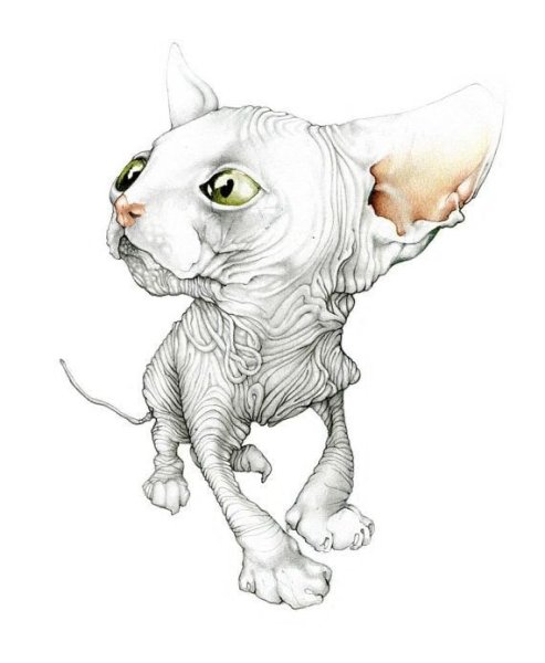 Сфинкс рисунок