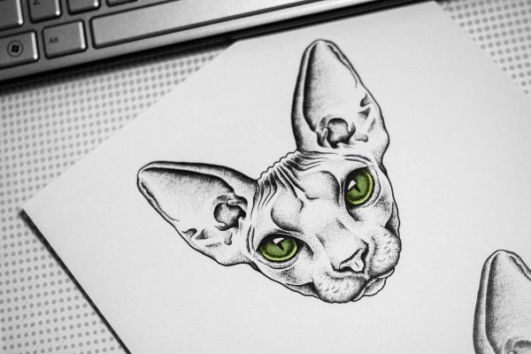 Эскиз тату сфинкс кот