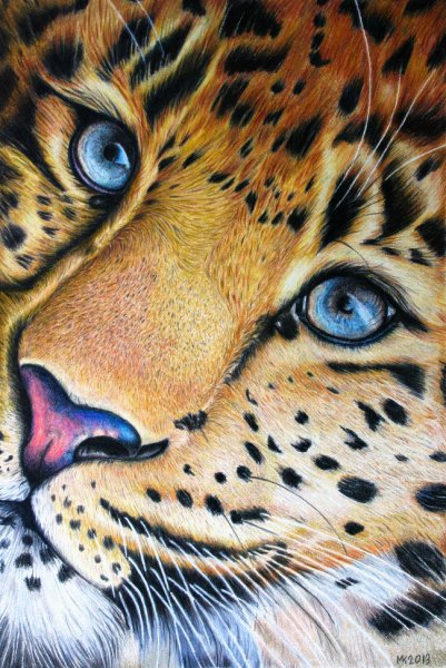 Гепард с карандашами цветными
