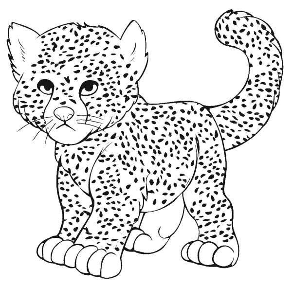 Леопард раскраска для детей