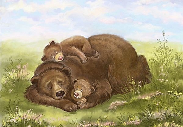 Медведь иллюстрация