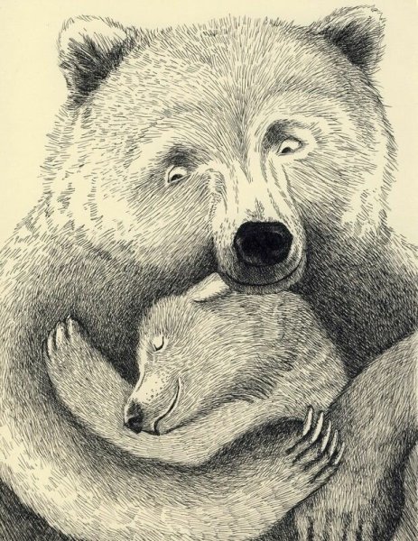 Медвежонок Графика