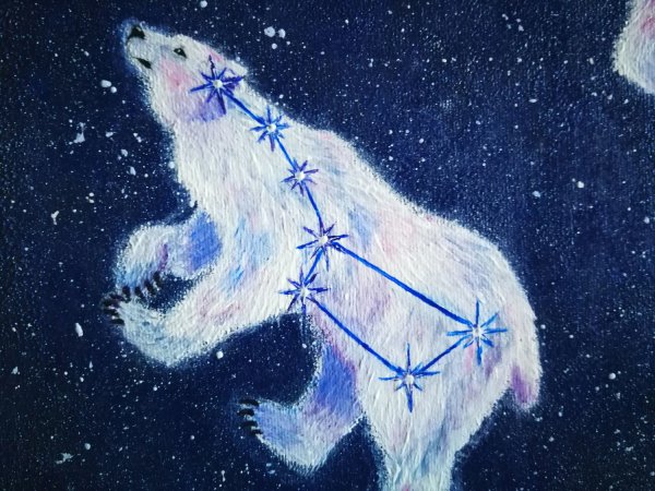 Медведь рисунок