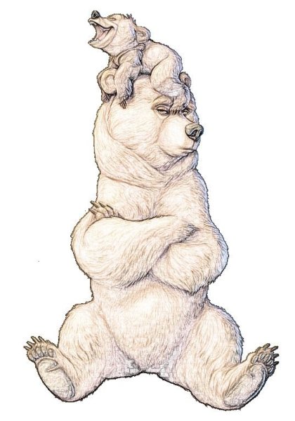 Медведь иллюстрация