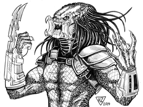 Хищники. Раскраска