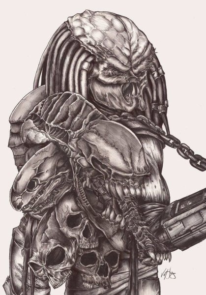 Хищник эскиз